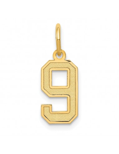 14KT Yellow Gold 18X7MM Number 9 Pendant. Chain Not Included Comment ça marche