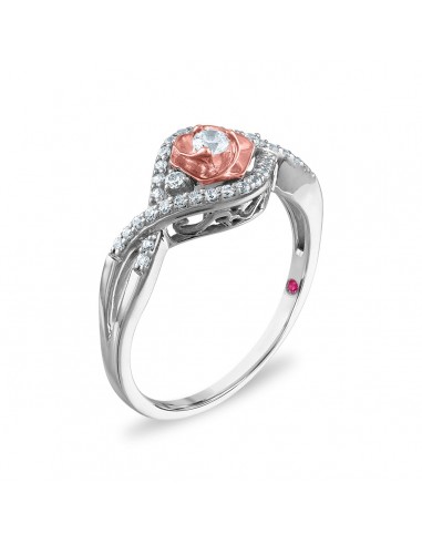 LoveSong 1/4 CTW Diamond Everlasting Rose Ring in 10KT White and Rose Gold Comparez et commandez 