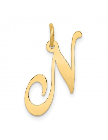 14k Large Fancy Script Initial N Charm les ctes