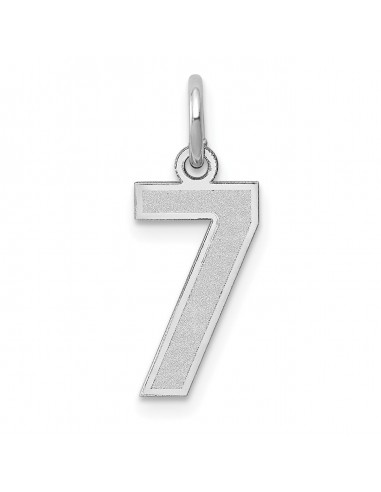 14KT White Gold 19X7MM Number 7 Pendant. Chain Not Included pour bénéficier 